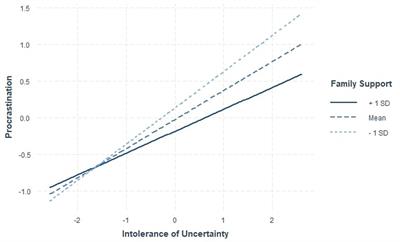 Examining social support and procrastination among college students
